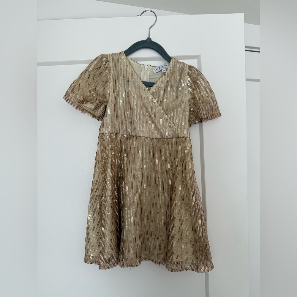Ivy City Co Goldie Dress 3t